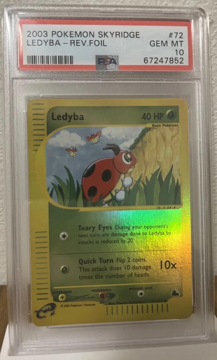 Ledyba