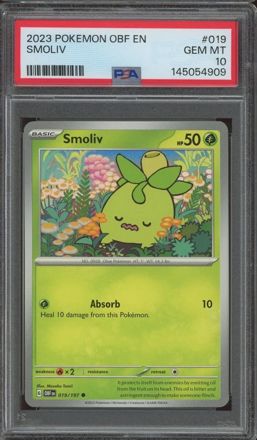 Smoliv