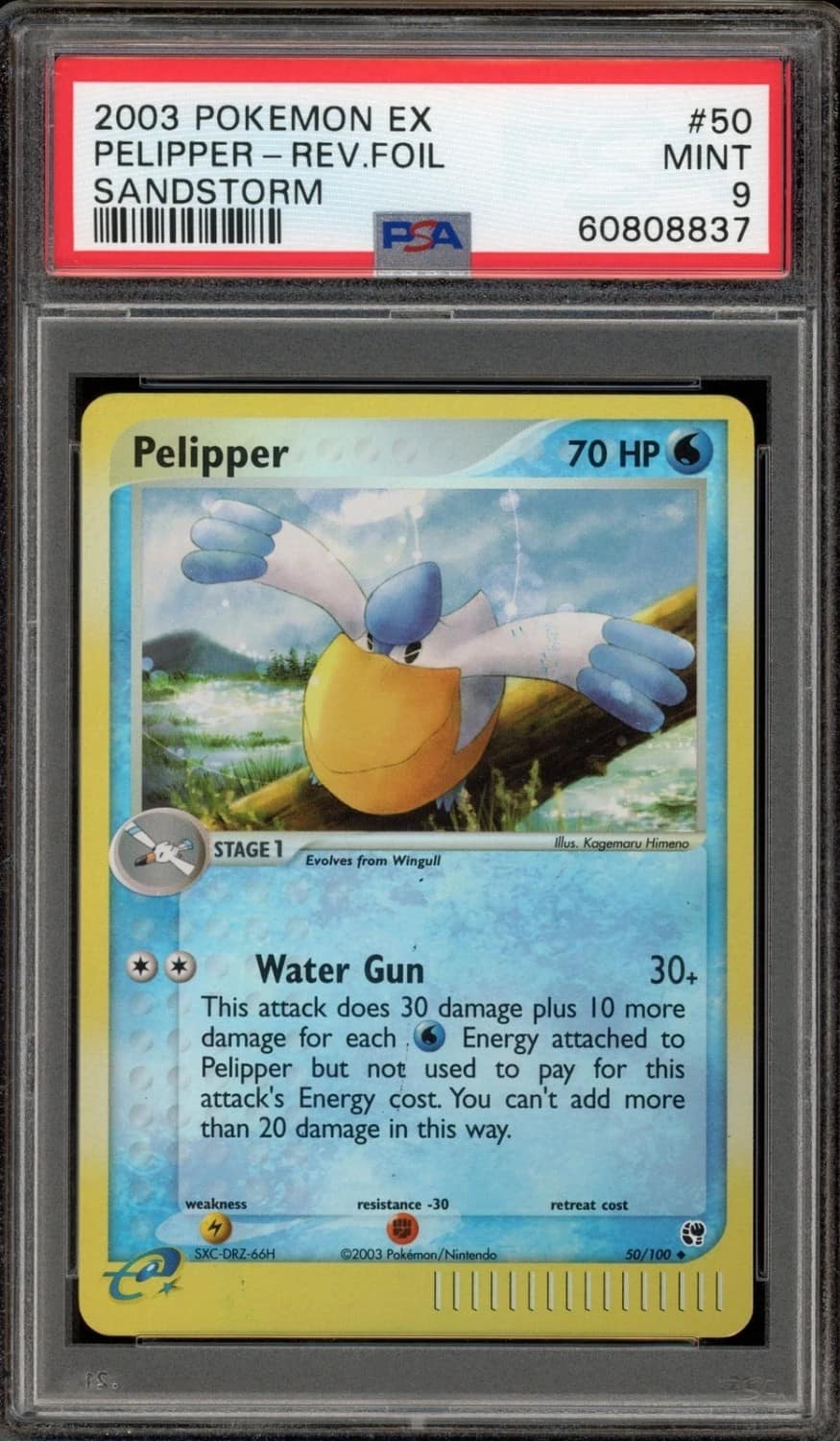 Pelipper