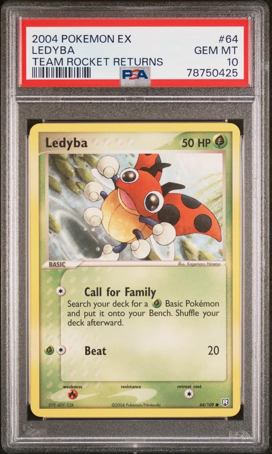 Ledyba