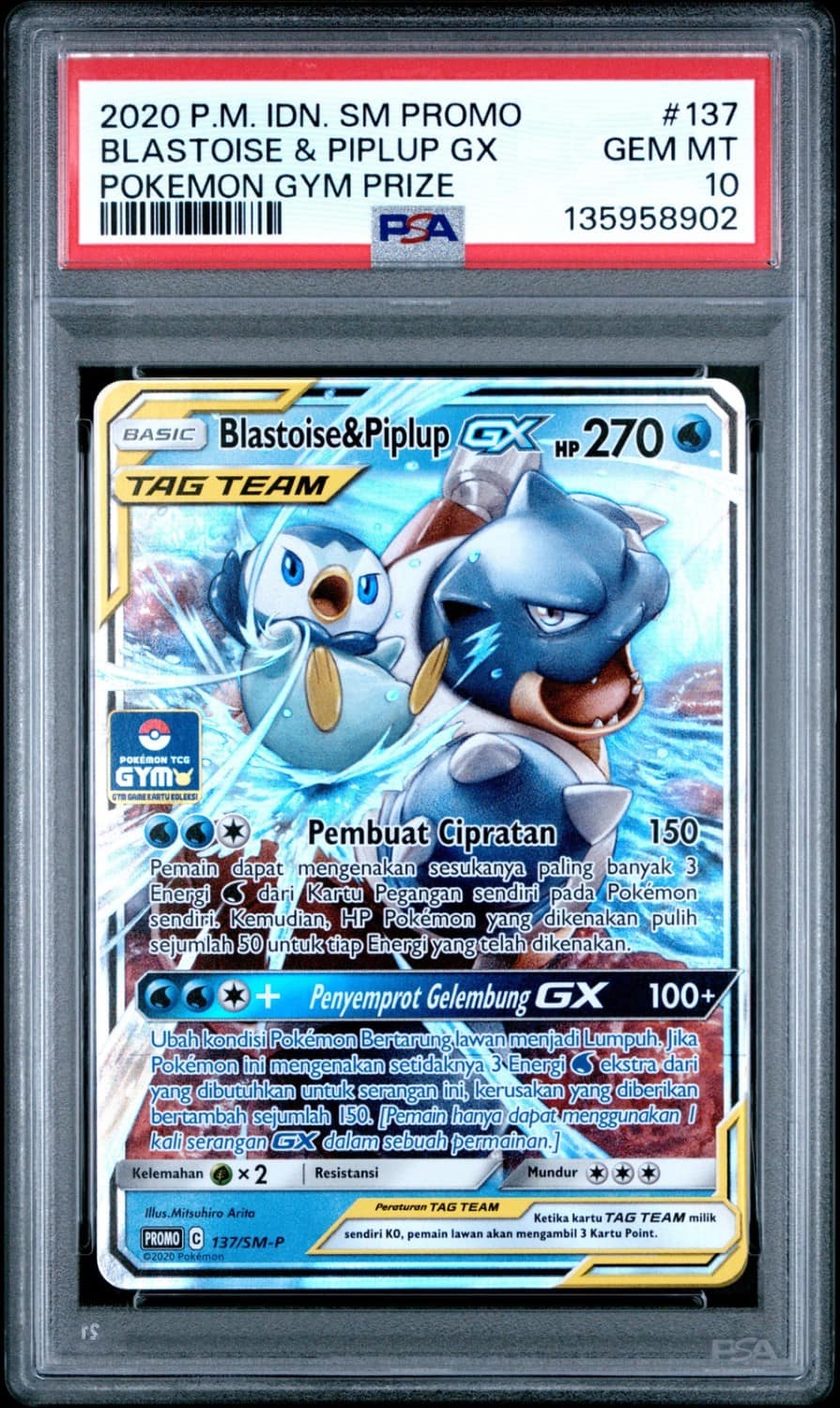 Blastoise & Piplup Gx
