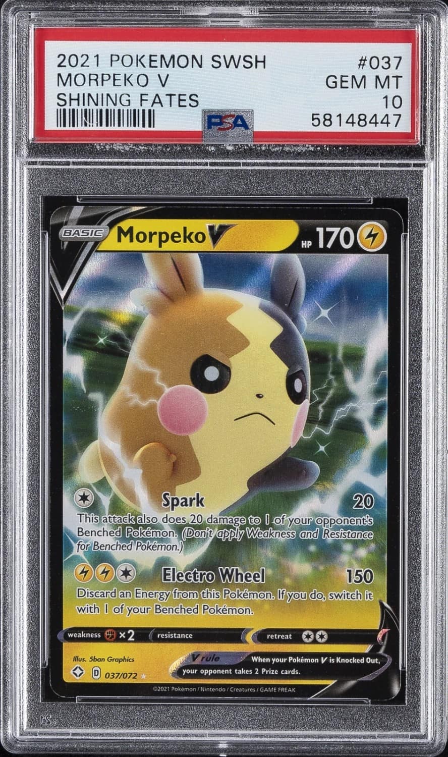 Morpeko V