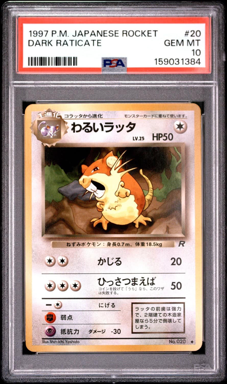 Dark Raticate