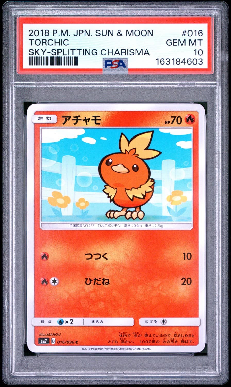 Torchic
