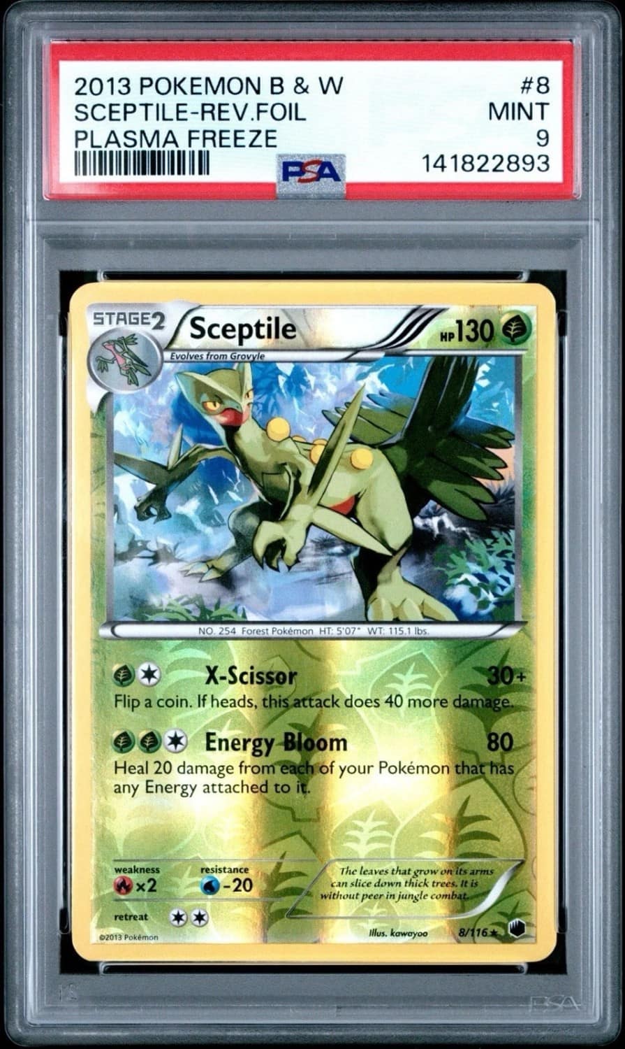 Sceptile
