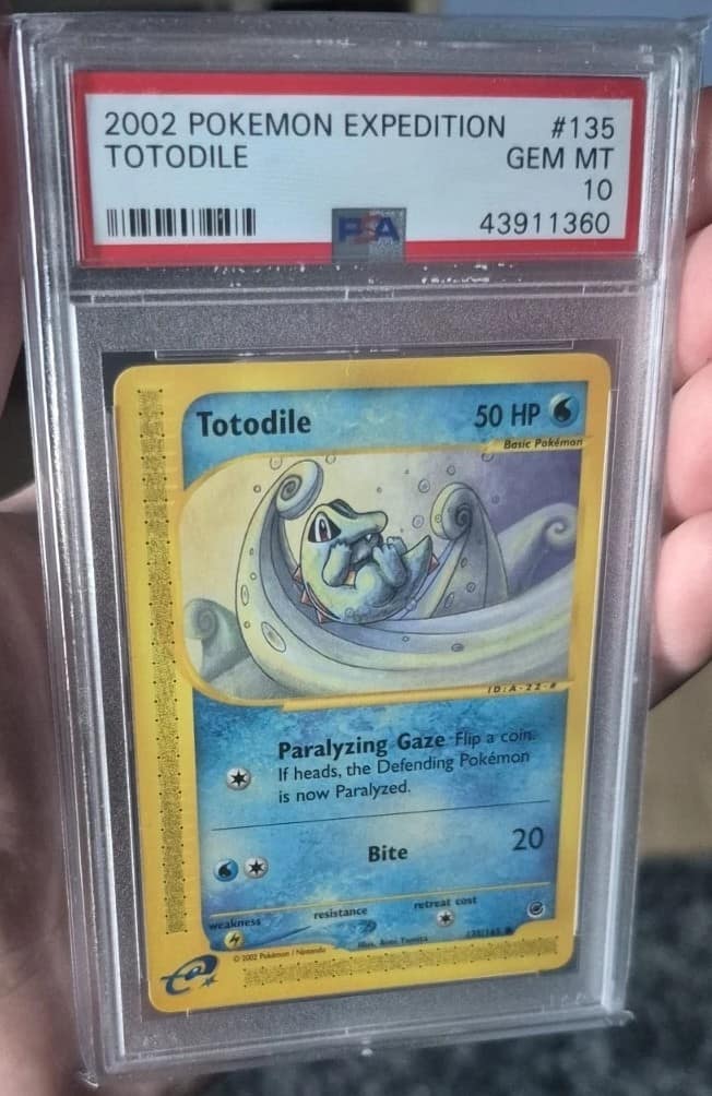 Totodile