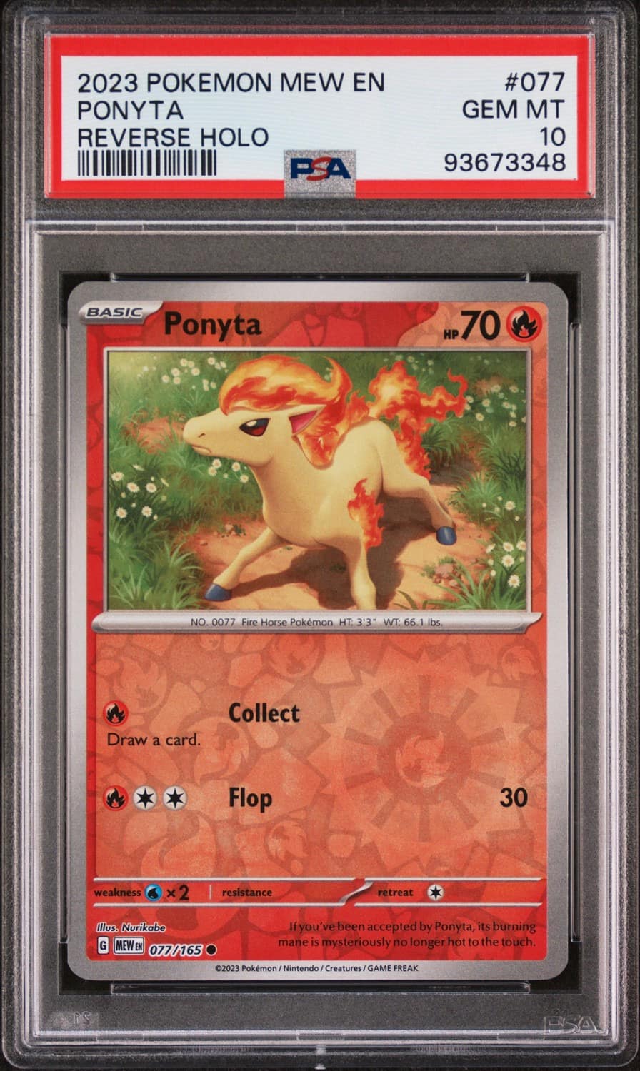 Ponyta