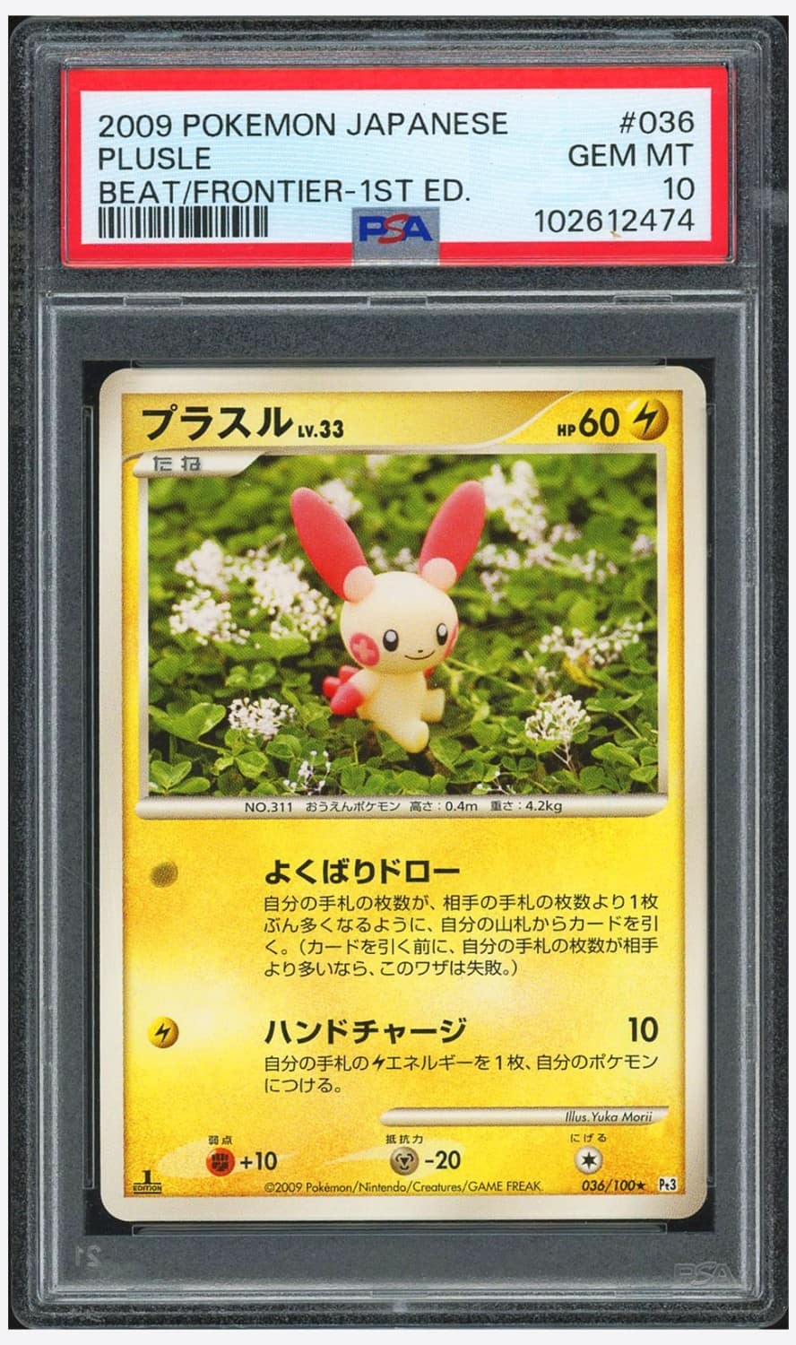 Plusle
