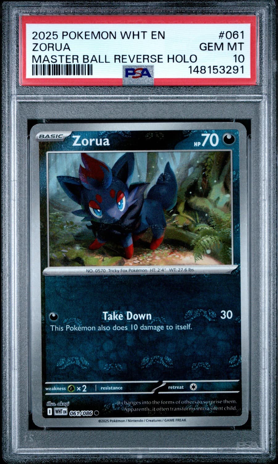 Zorua