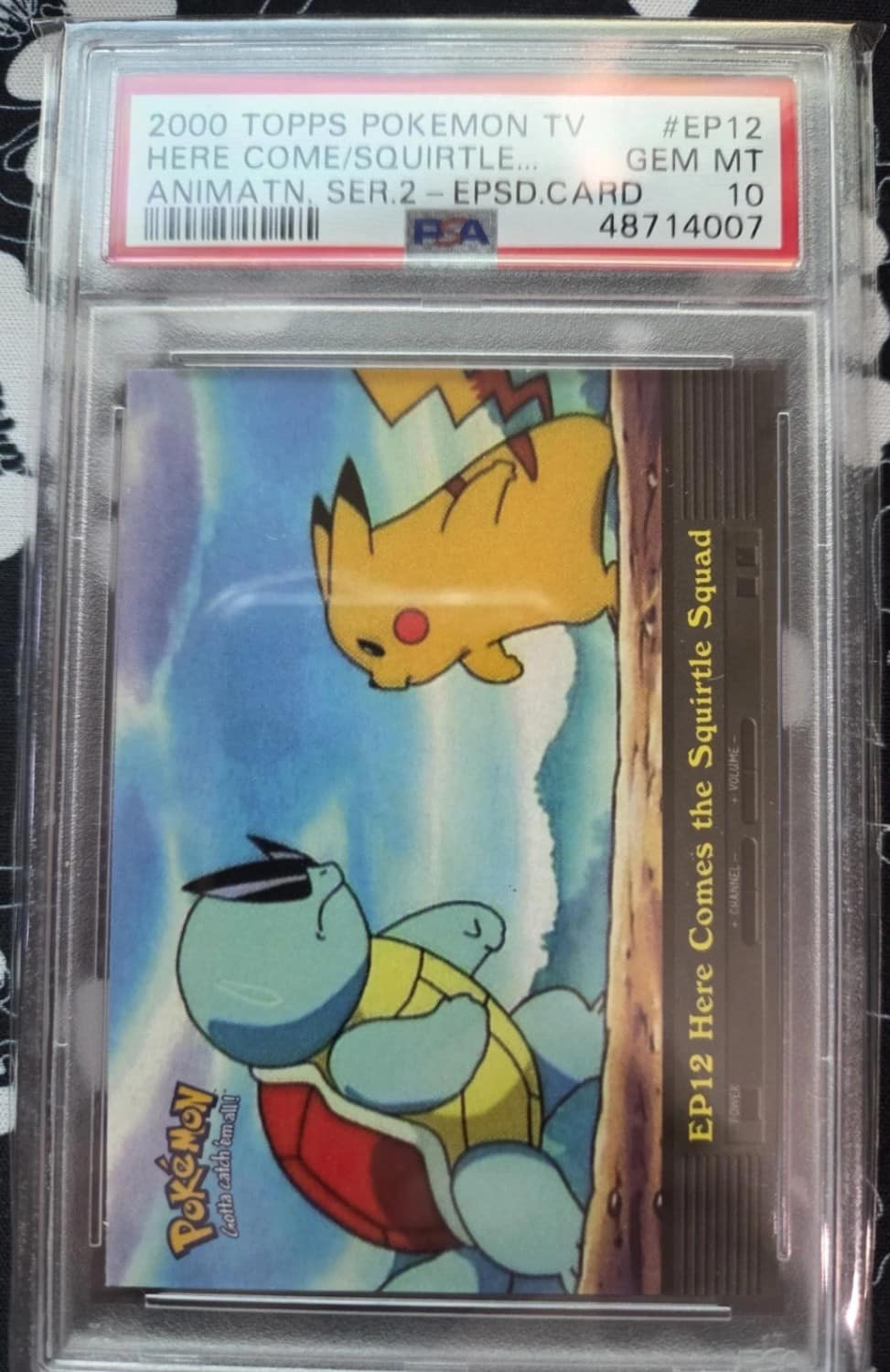 Here Comes The Squirtle Squad