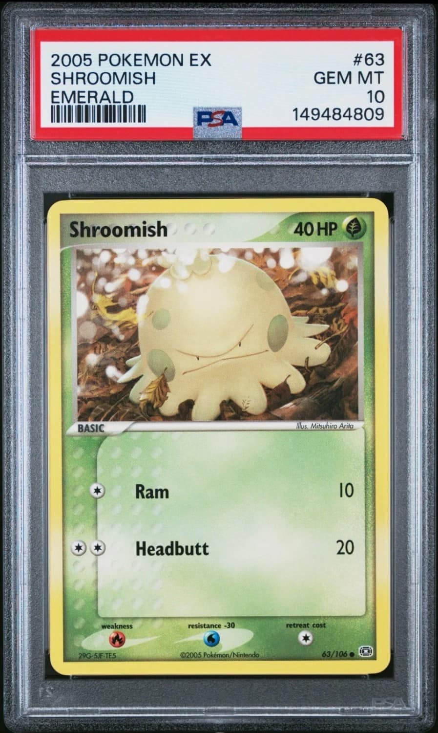 Shroomish