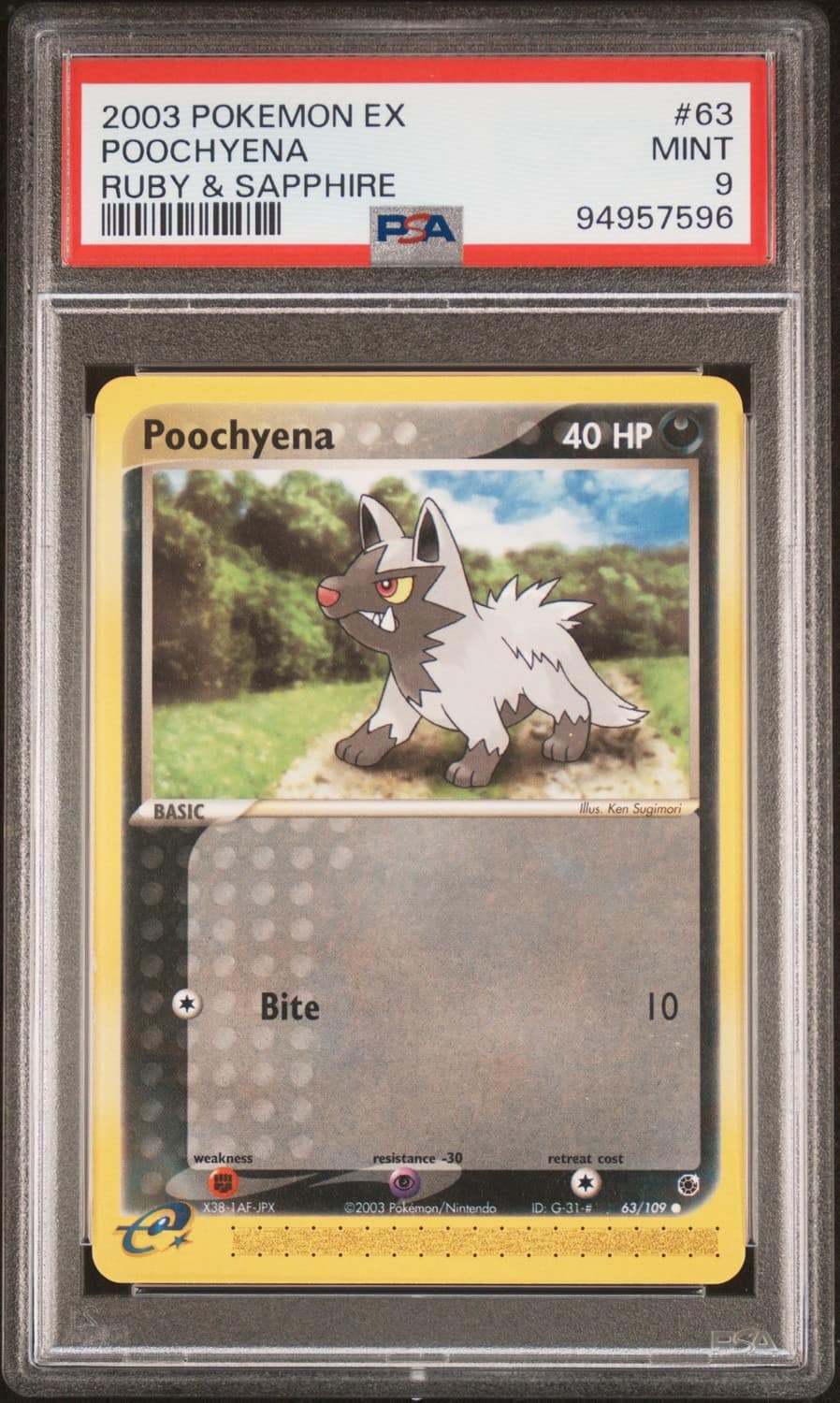 Poochyena