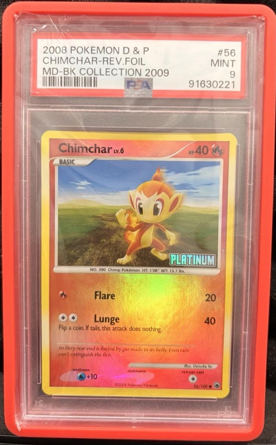 Chimchar