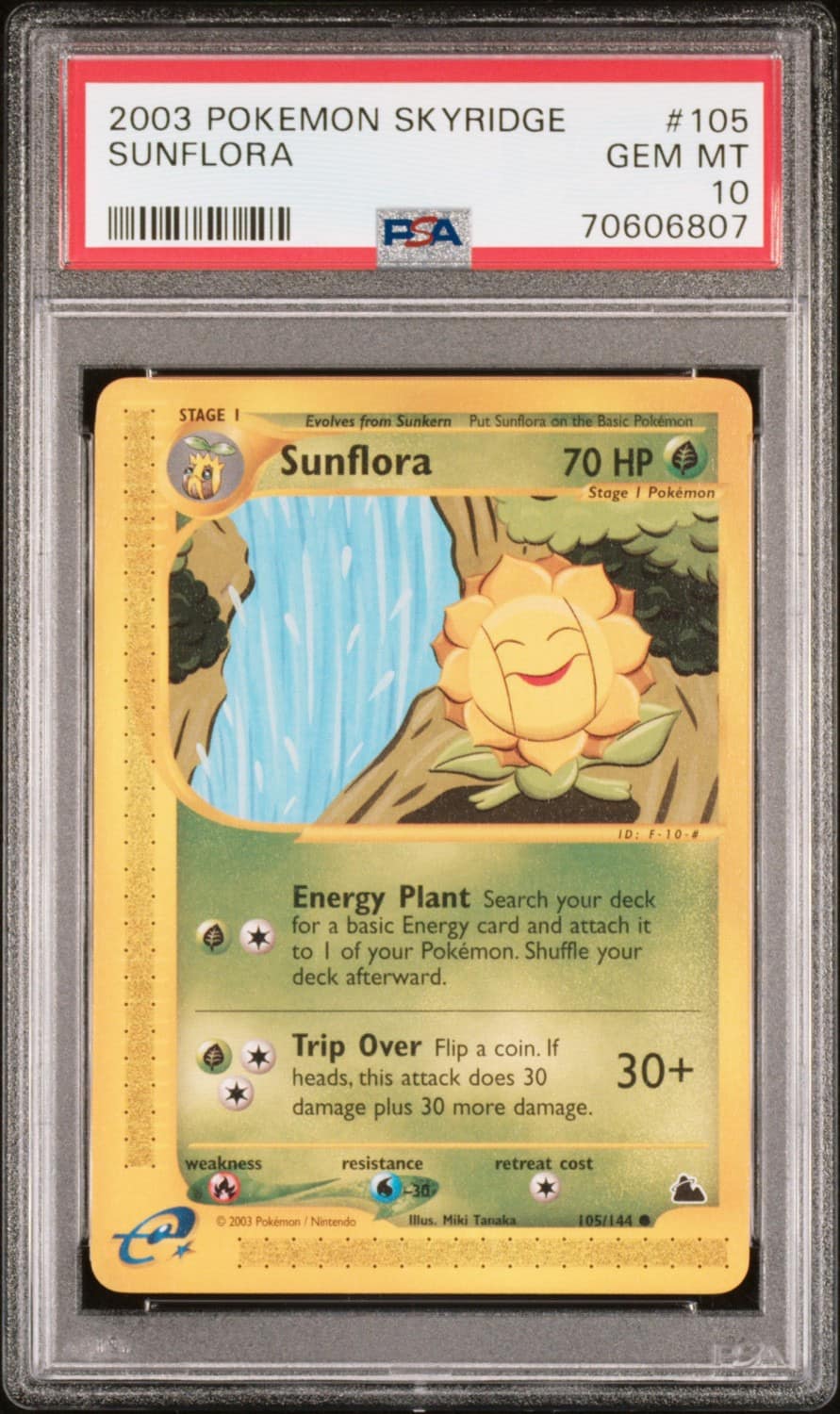 Sunflora