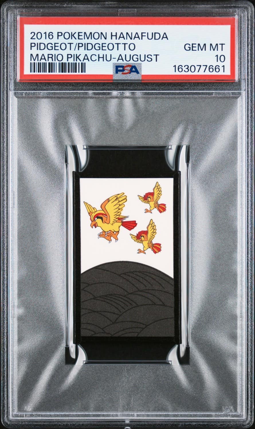 Pidgeot/pidgeotto