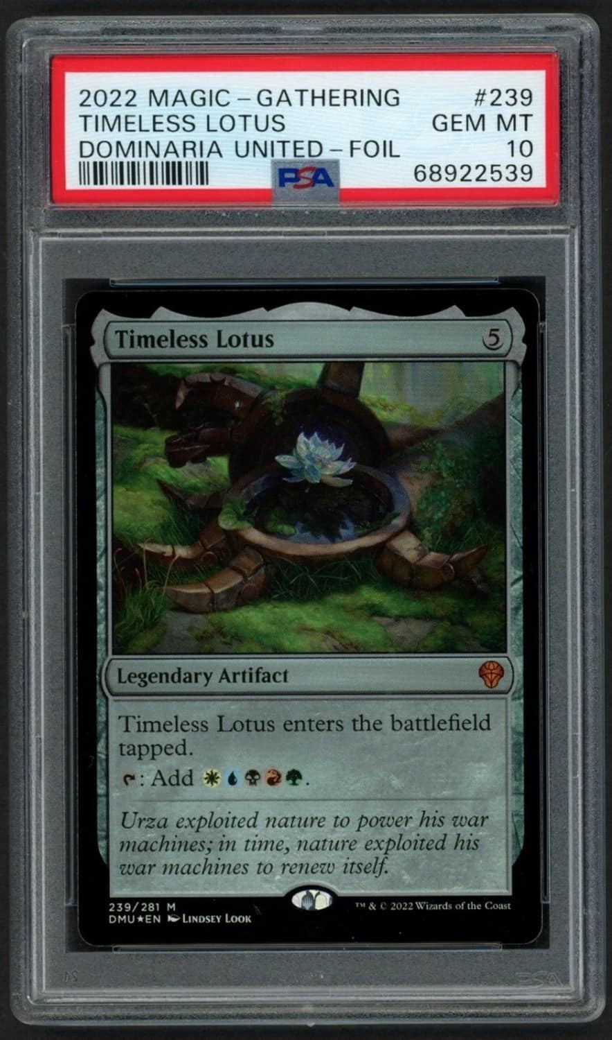 Timeless Lotus