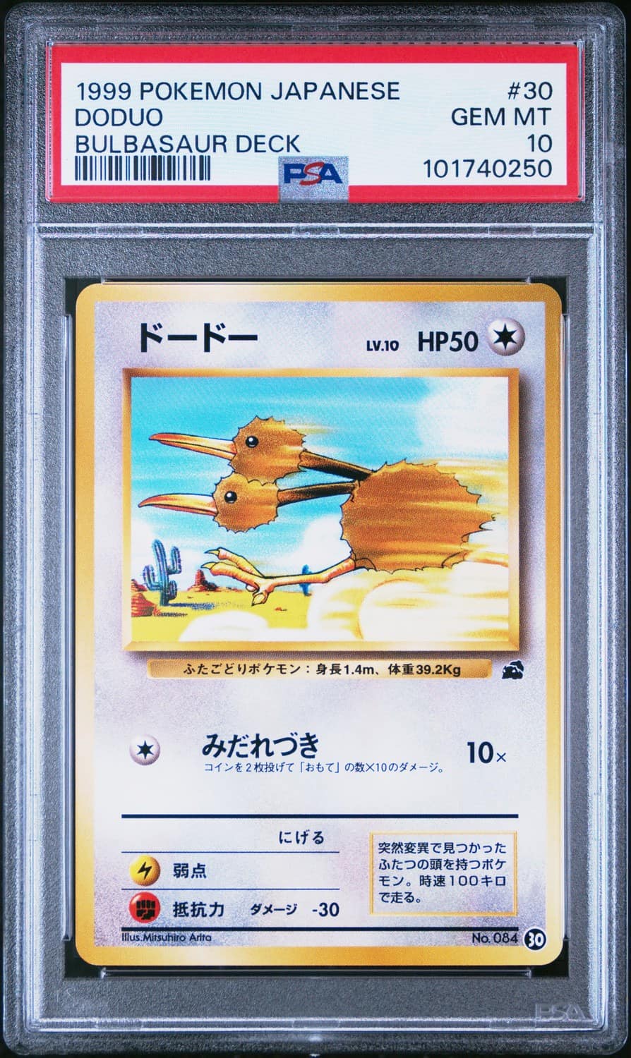 Doduo