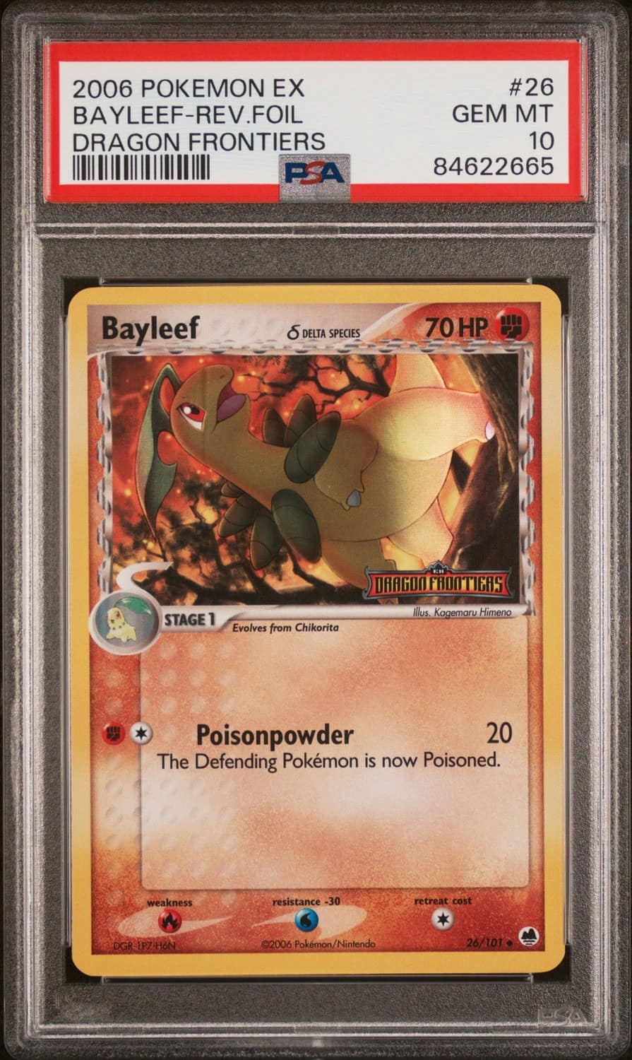 Bayleaf δ