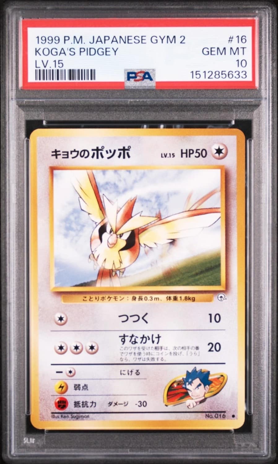 Koga'S Pidgey