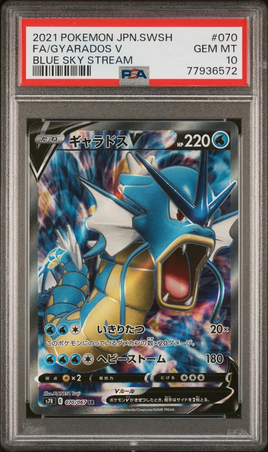 Gyarados V