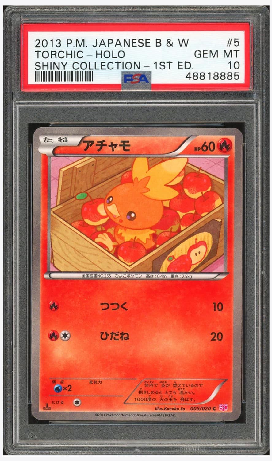 Torchic