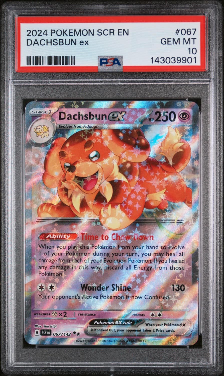 Dachsbun Ex