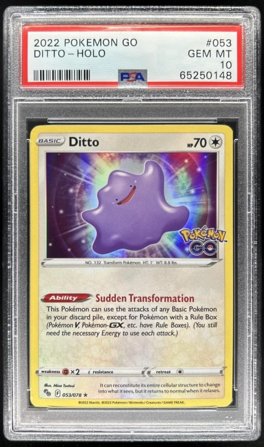 Ditto