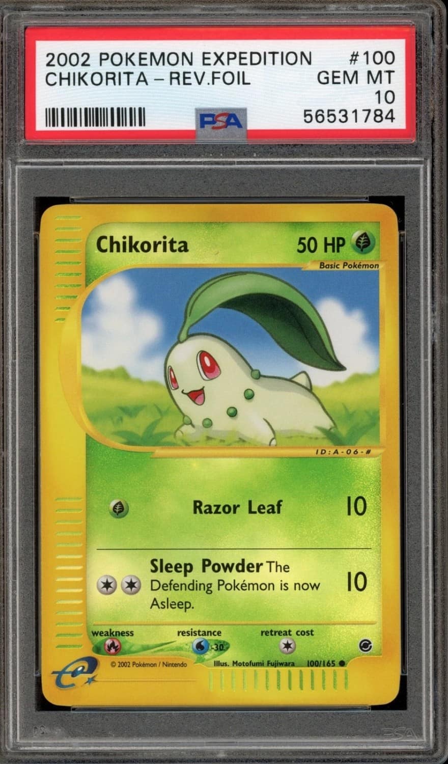 Chikorita