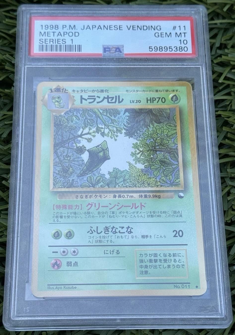 Metapod