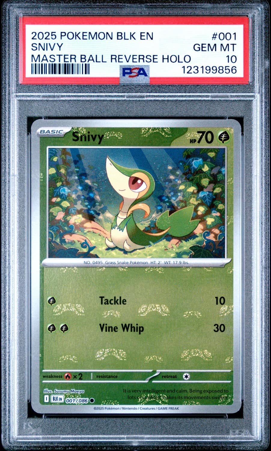 Snivy