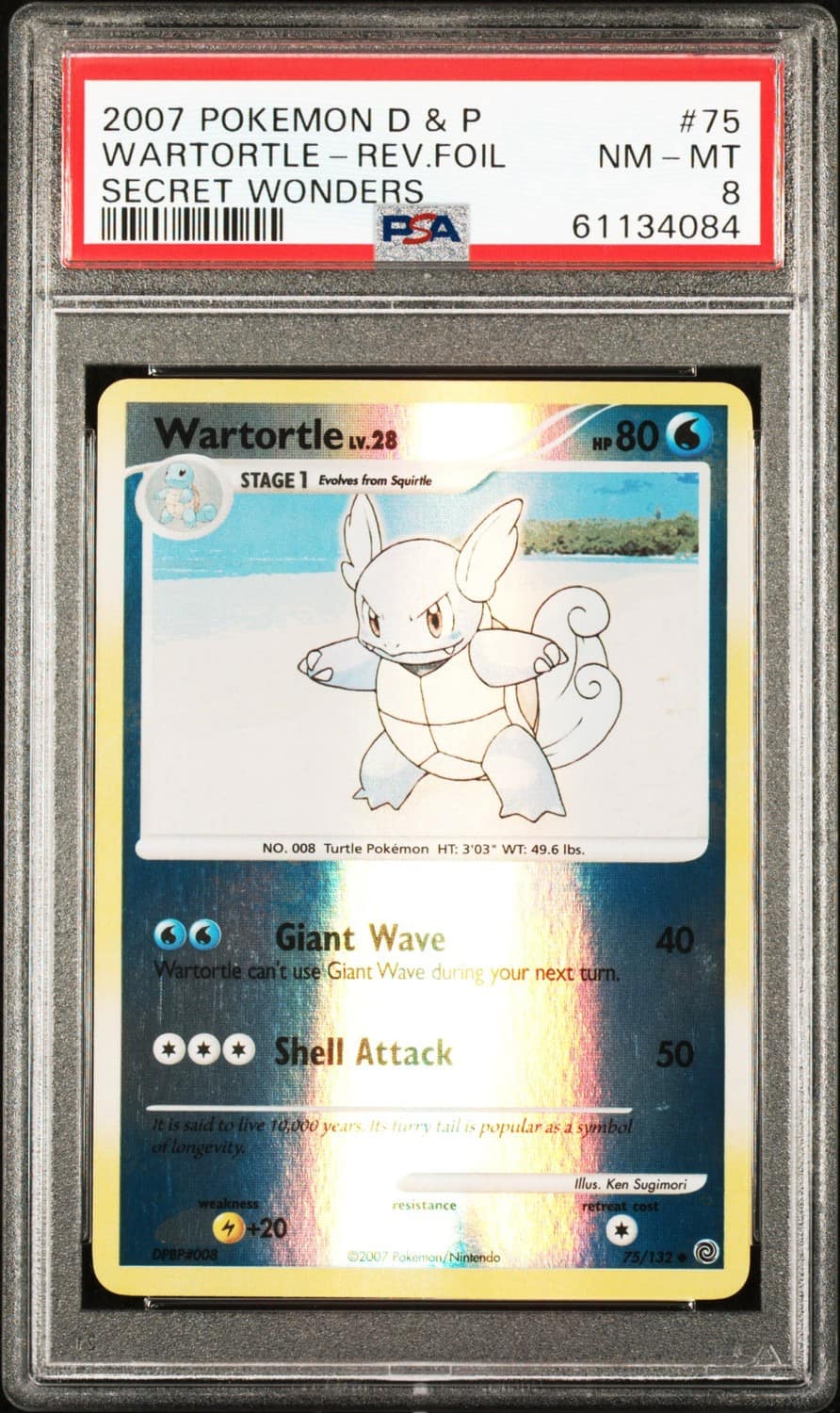 Wartortle