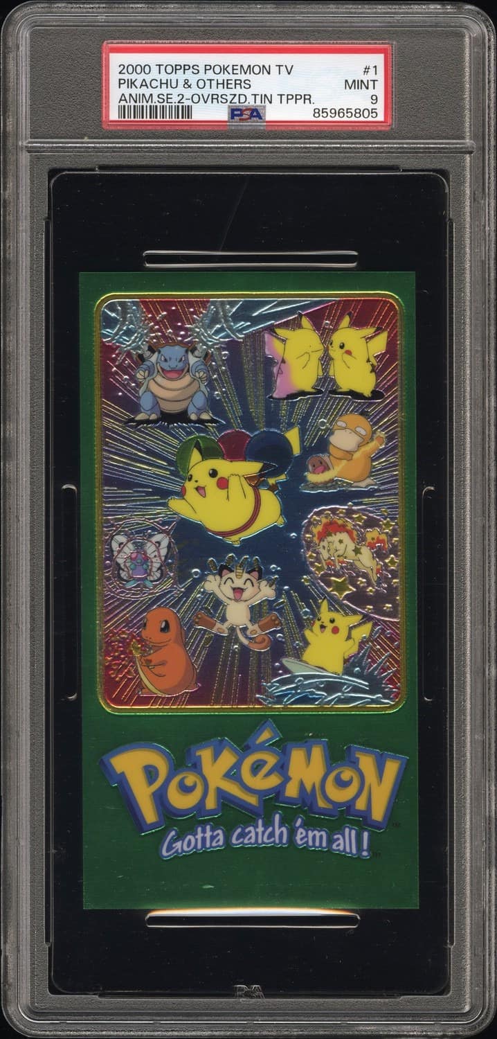 Pikachu & Others