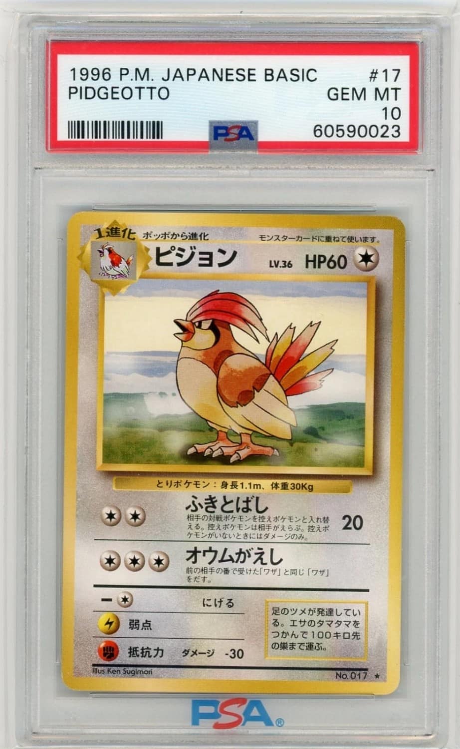 Pidgeotto