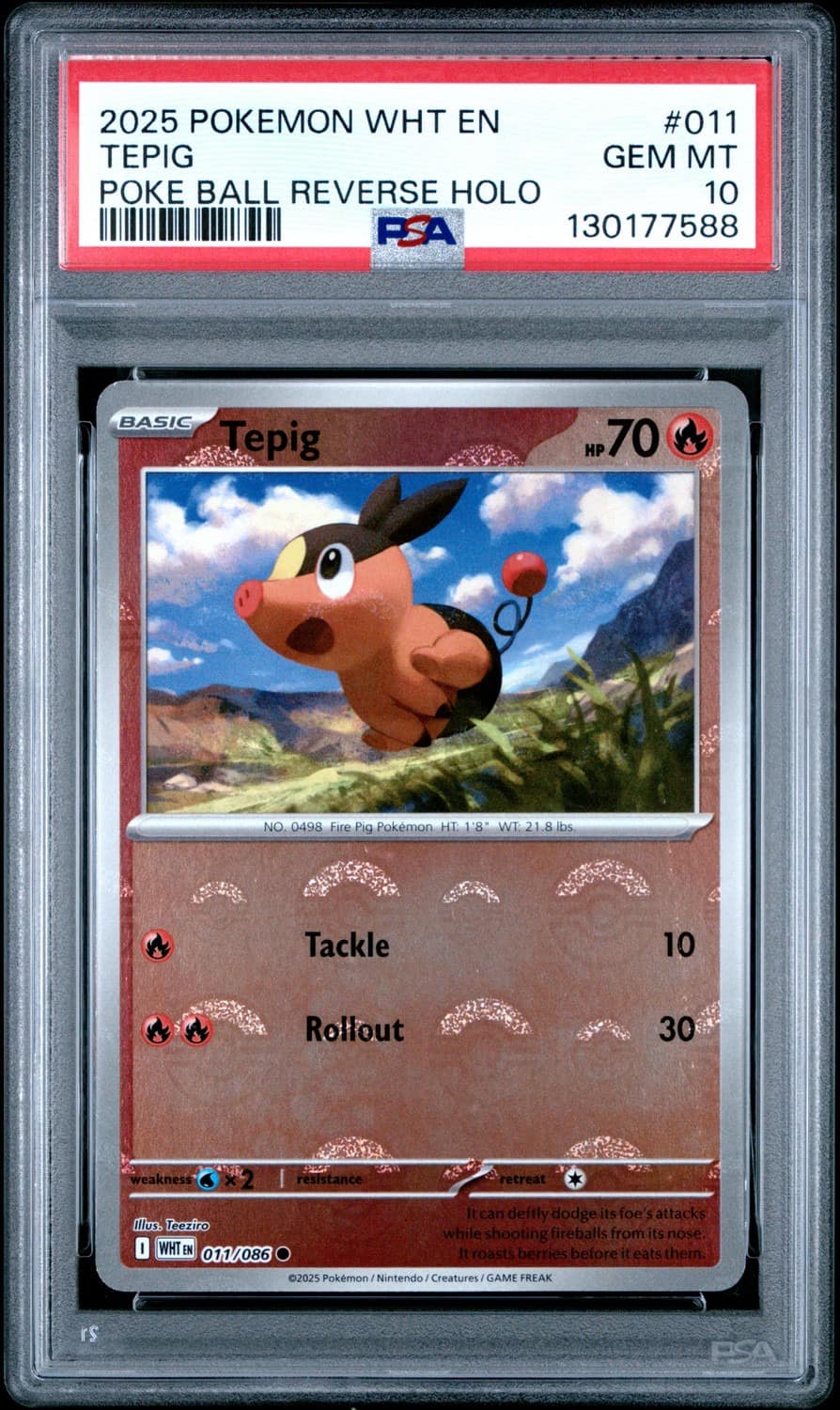 Tepig