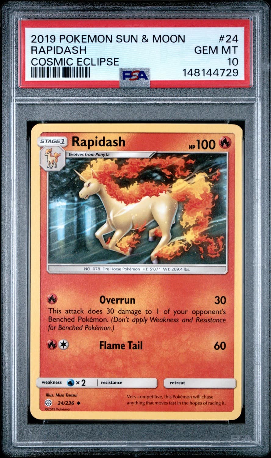 Rapidash