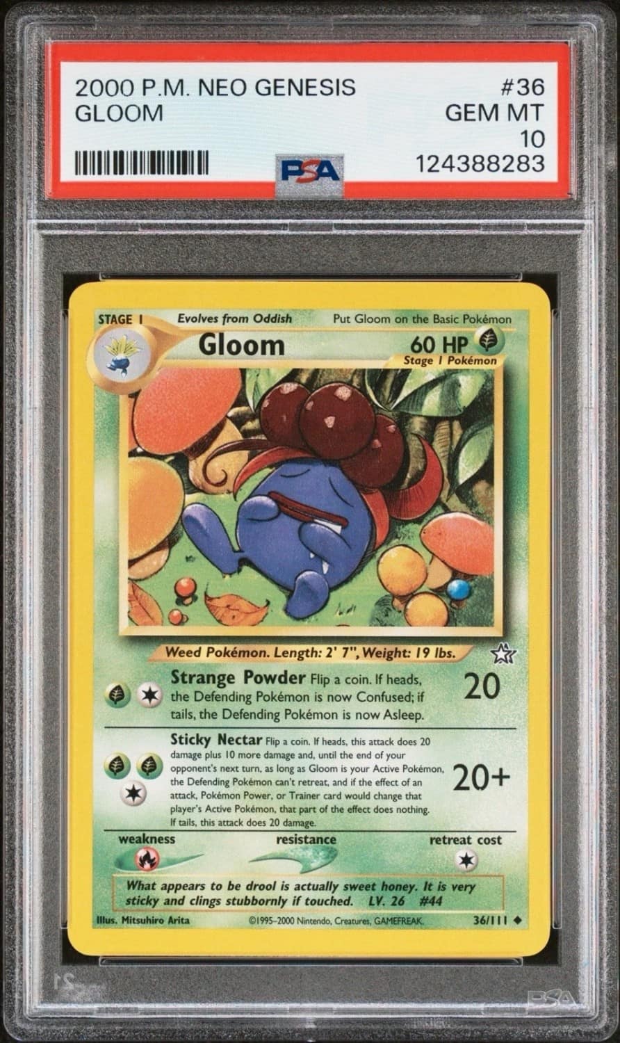 Gloom