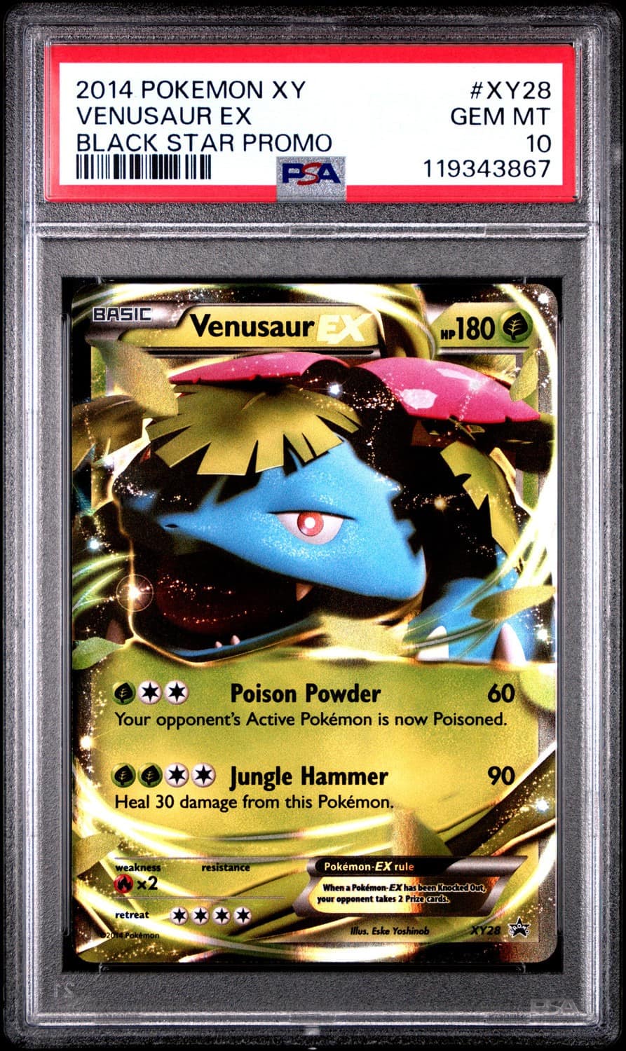 Venusaur Ex