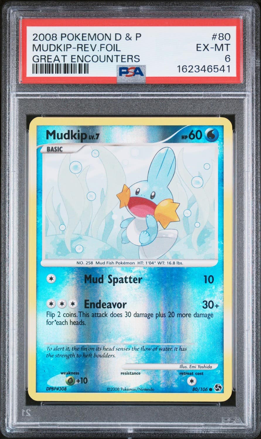 Mudkip