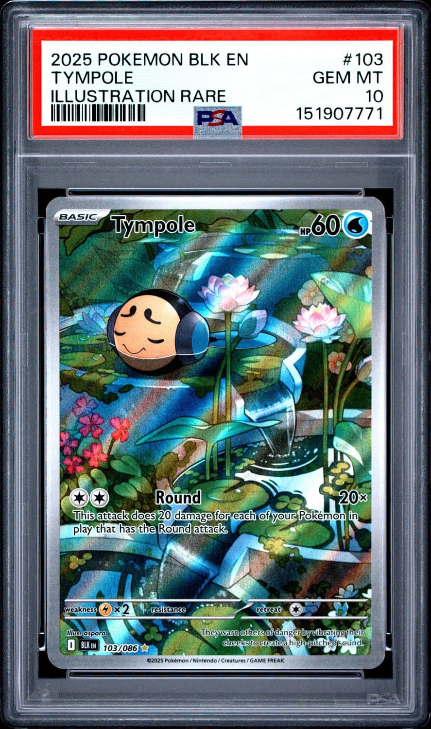Tympole