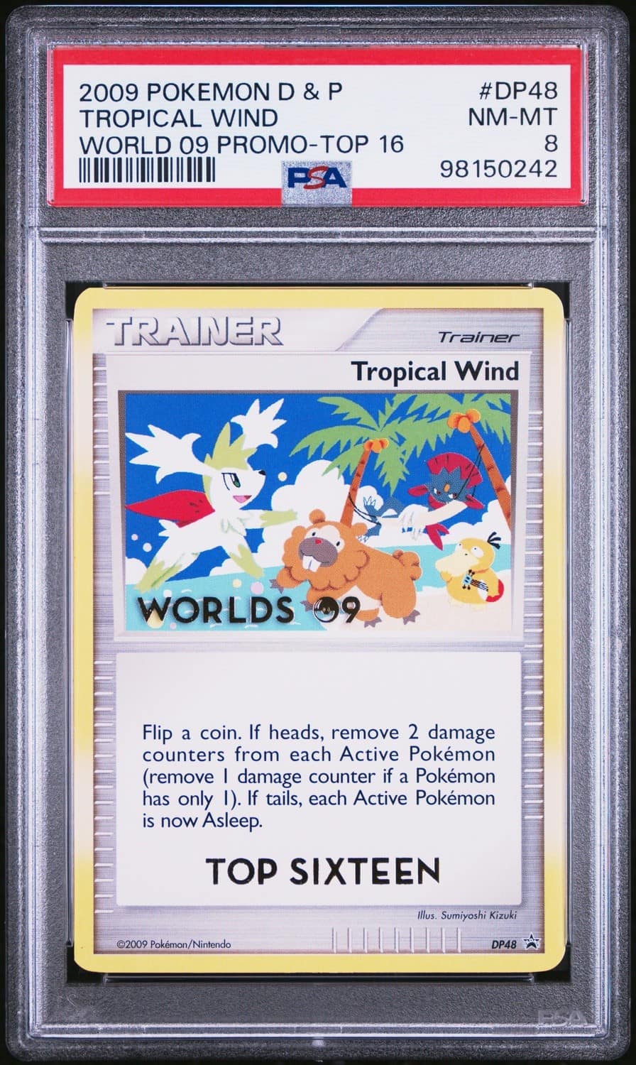 Tropical Wind