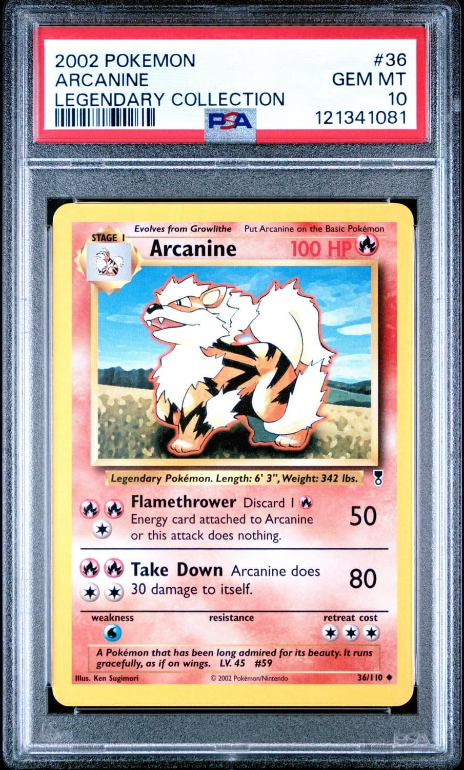Arcanine