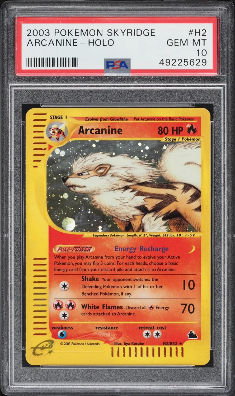 Arcanine