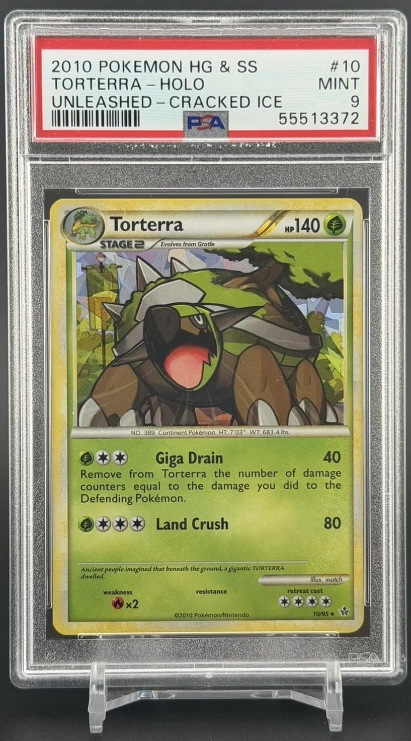 Torterra
