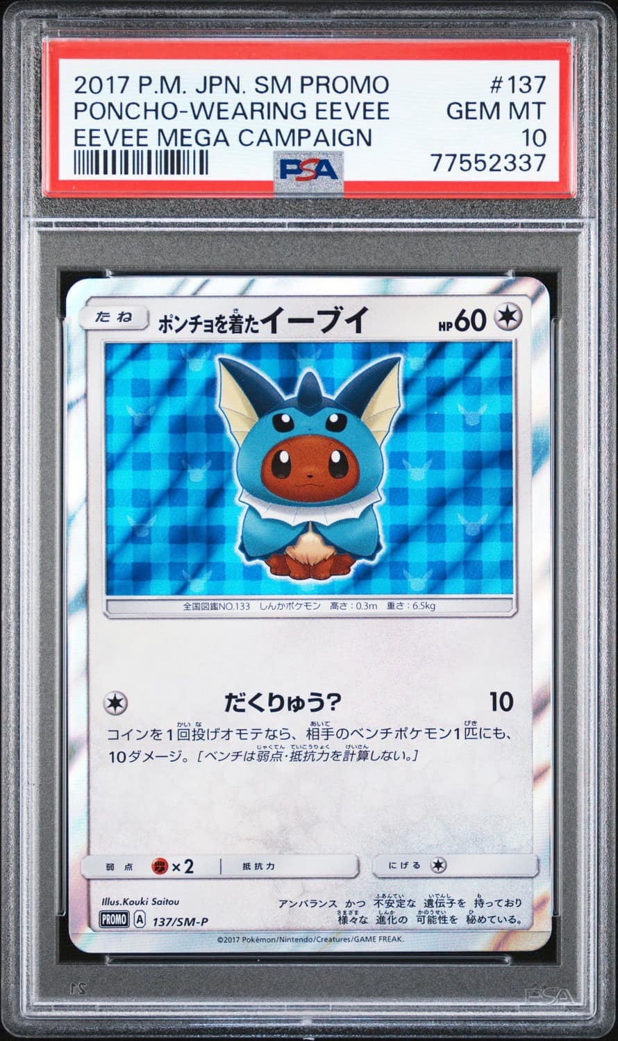 Poncho-Wearing Eevee