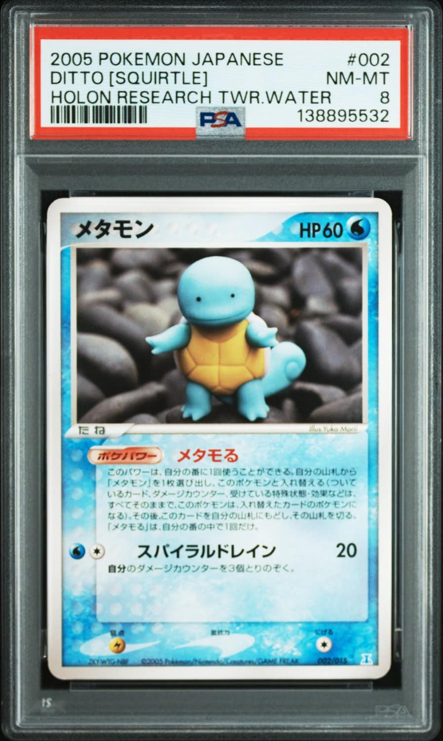 Ditto [squirtle]