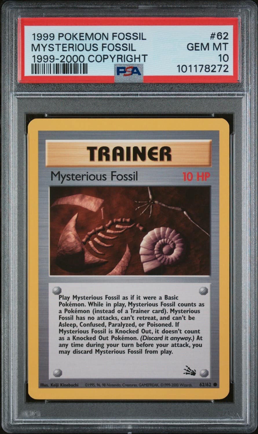 Mysterious Fossil