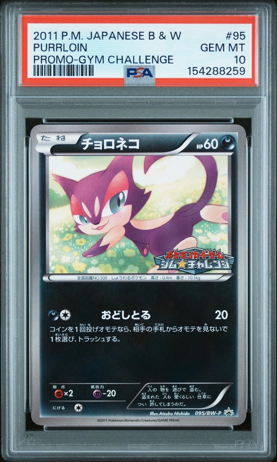 Purrloin
