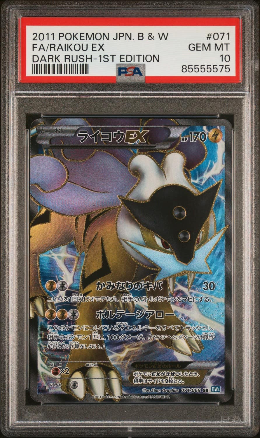 Raikou Ex
