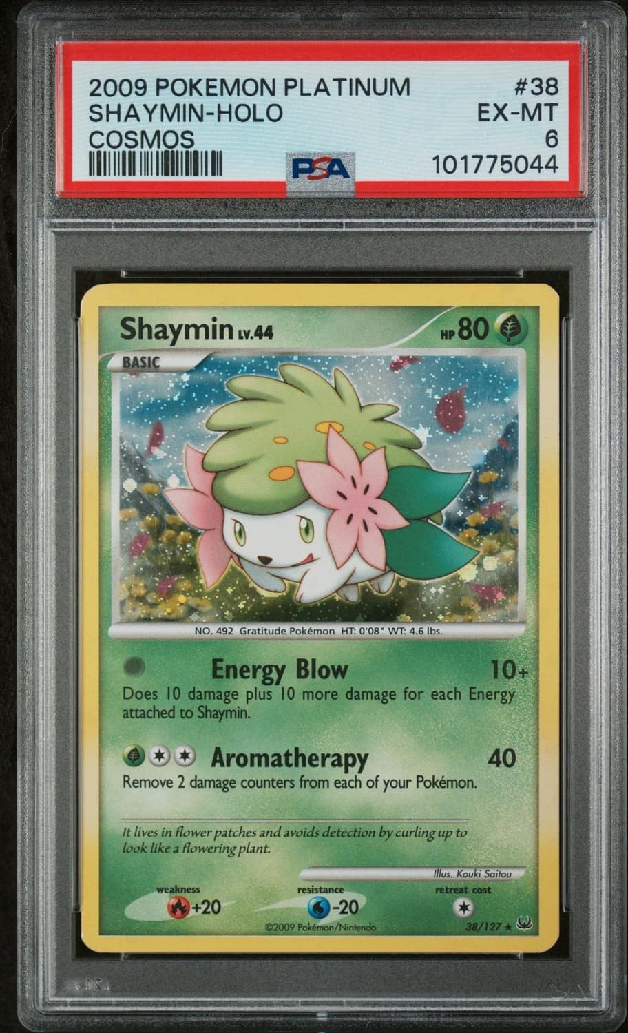 Shaymin