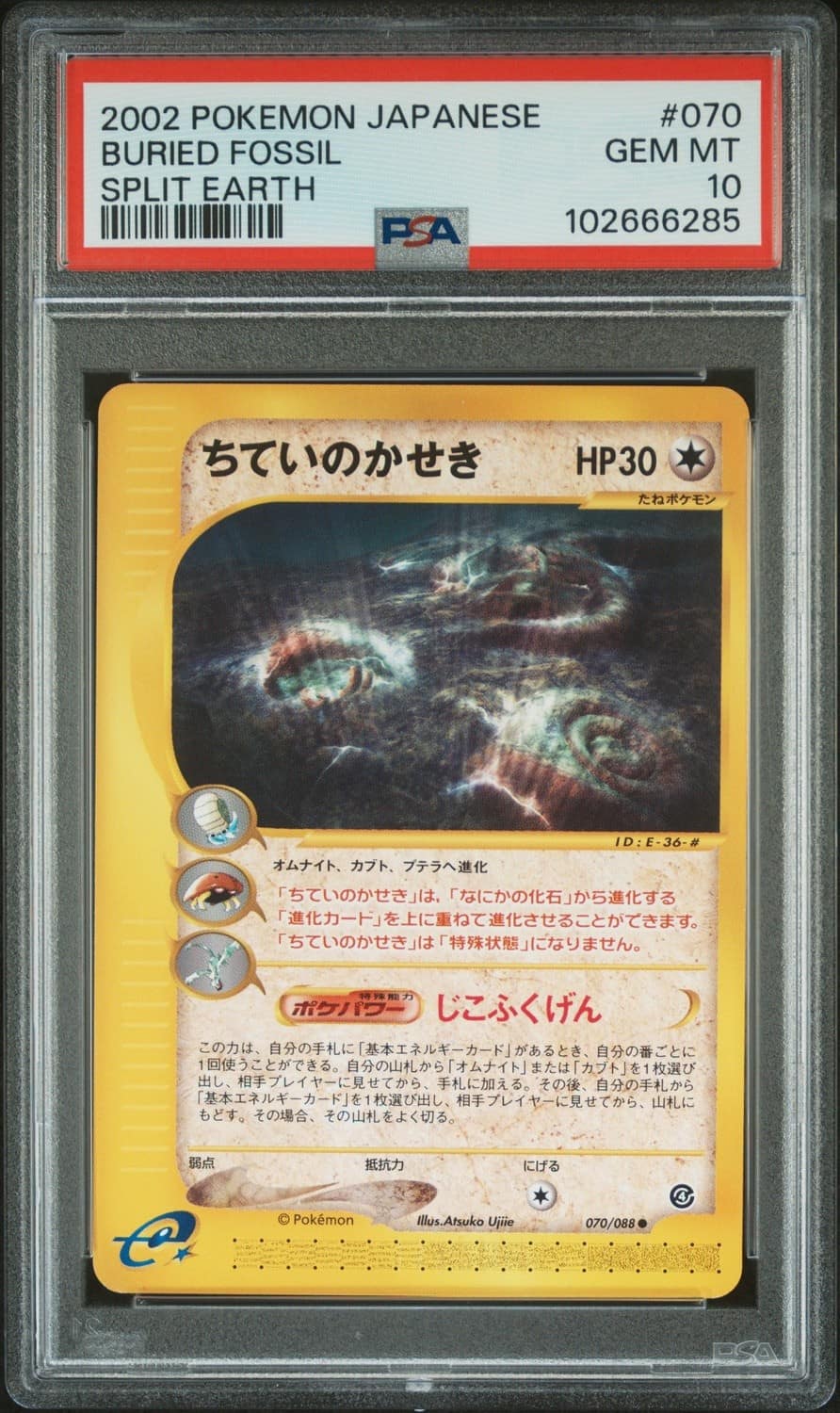 Buried Fossil